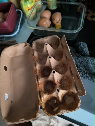 구매후기