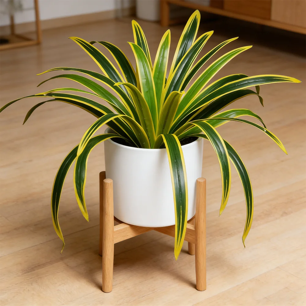 60 cm künstliche Orchideen- und Chlorophytum-Pflanzen, Kunstpflanzen mit fallenden Blättern, künstliche Spinnenpflanzen für die Dekoration von Zuhause und Geschäften – Detail 4