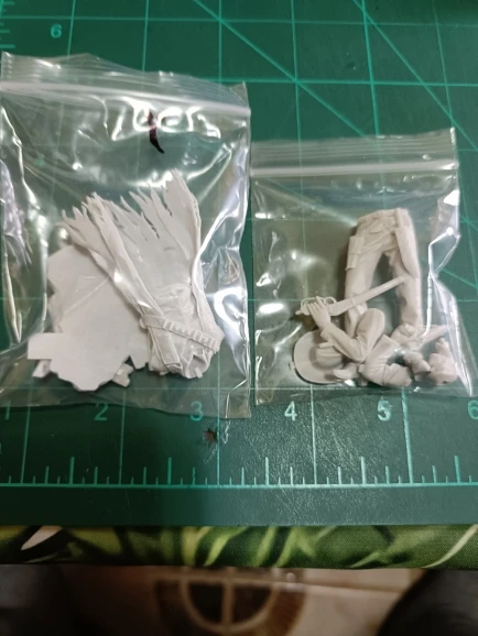 Buyer photo of this resin kit