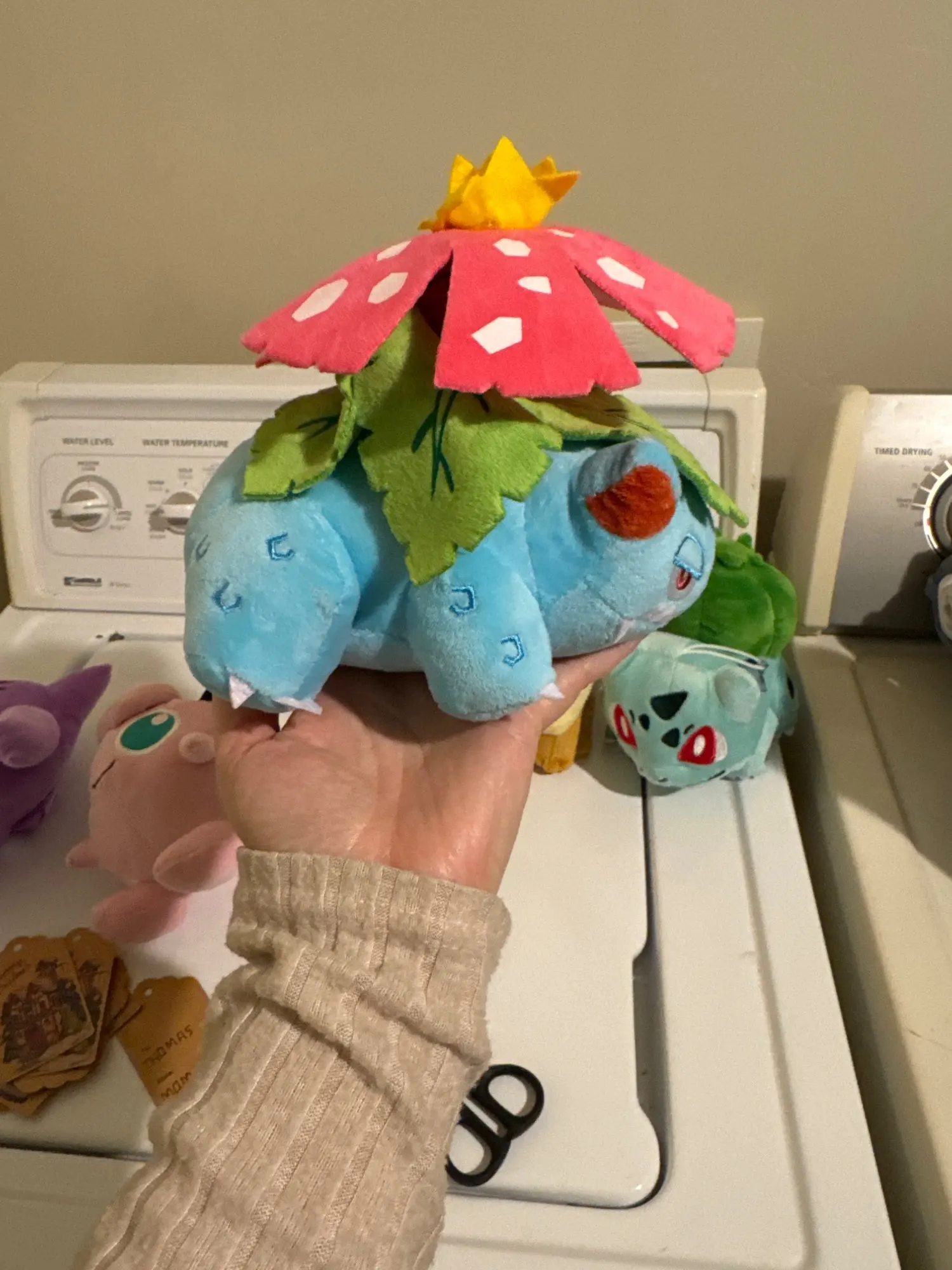 Customer review photo
