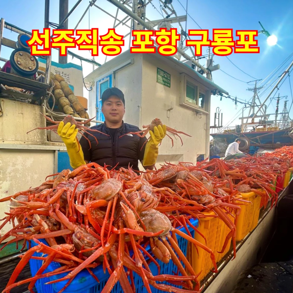 Sangik Songpo Port Guryongporosook YeonJi Hongge 2kg 5kg same-day operation