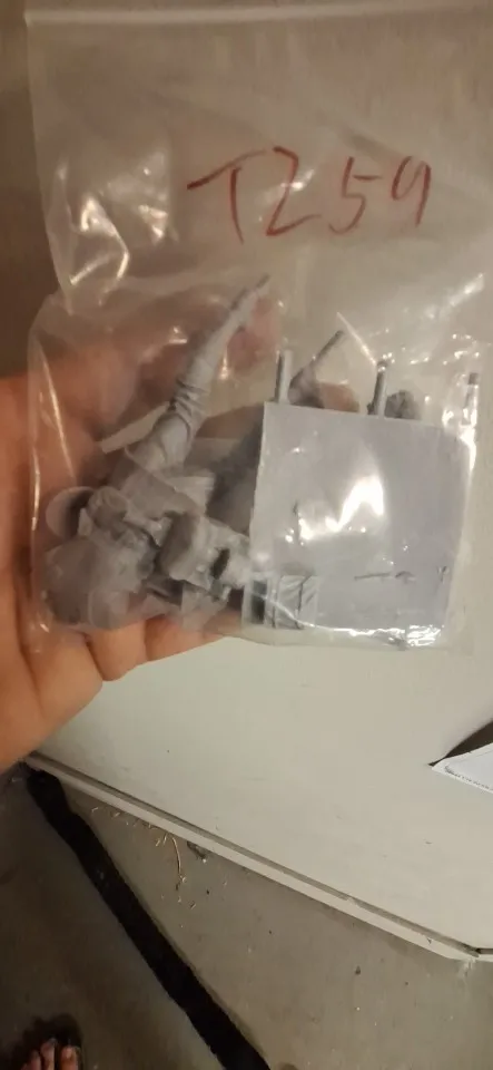 Buyer photo of this resin kit
