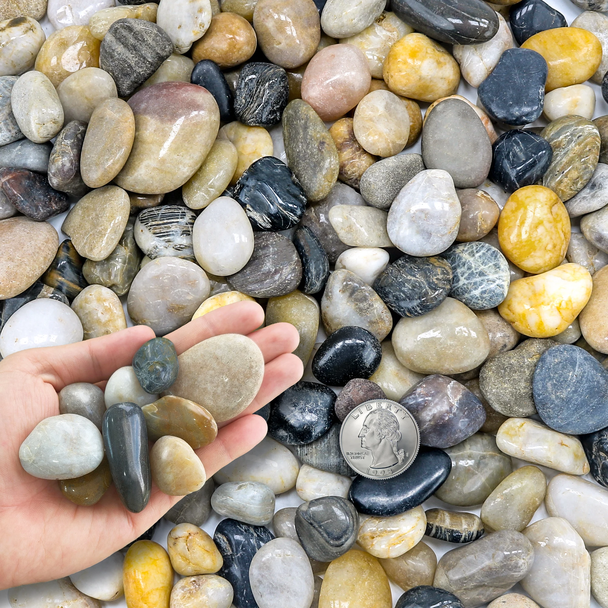 

Decorative Pebbles 8.2kg (18 lbs) - Outdoor Garden Gravel Pebbles Outdoor Garden Pebbles - Natural River Decorative Pebbles 1-2cm for Vases, Aquarium, Plants, Gardening