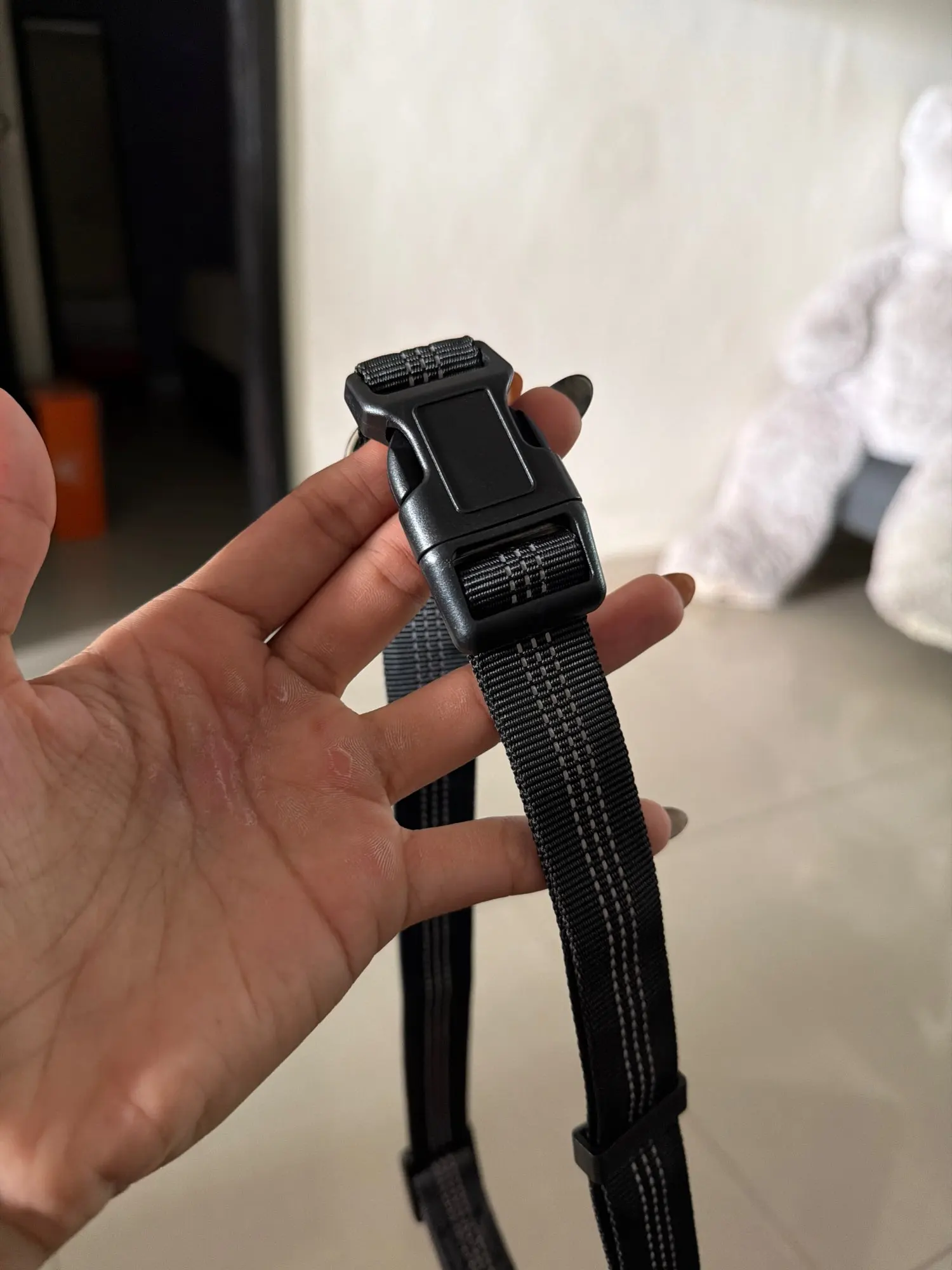 Customer review photo for Hands-Free Bungee Dog Leash with Adjustable Waist Belt