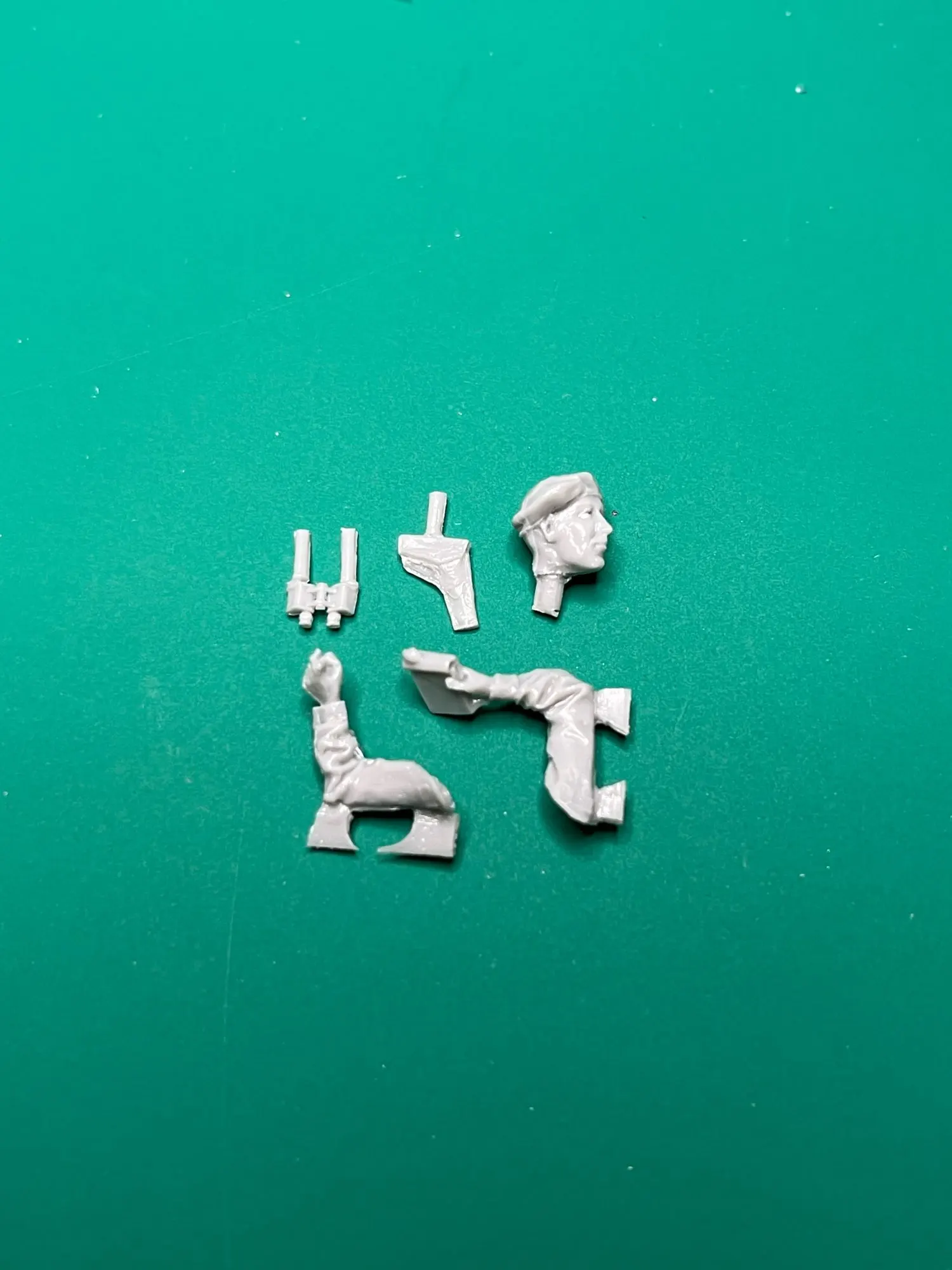 Buyer photo of this resin kit