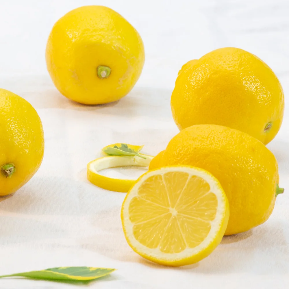 خيار كبير الحجم من الليمون الفاخر من World Market (كبير/كبير متوسط/صغير)