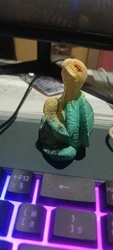 Imagen de reseña 2