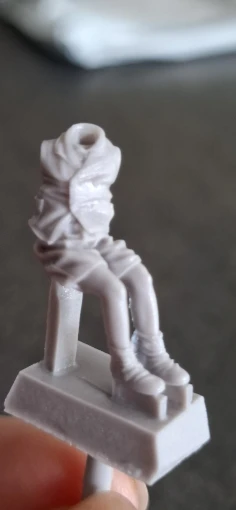 Buyer photo of this resin kit