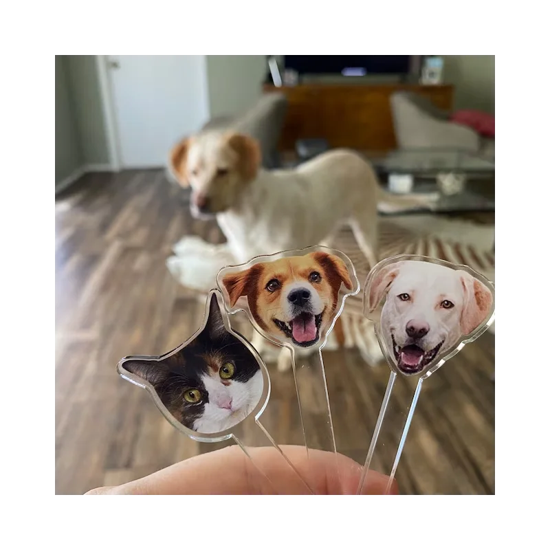 Custom Dog Stir Stick Personalized Stir Spoon Pet Drink Stir Spoon Stir Sticks Custom Acrylic Cocktail Stirrers Wedding Swizzle