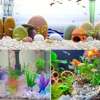100/300/500G White Pebbles Decorative Stones for Plants-Natural River Rocks for Garden Landscaping, Succulent & Cacti Potting 6