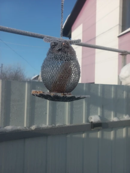 1pcs Owl Shaped Metal Bird Feeder Hanging Wild Bird Food Container for Garden Yard Outdoor Bird Watching Decorative Feeding Tool photo review