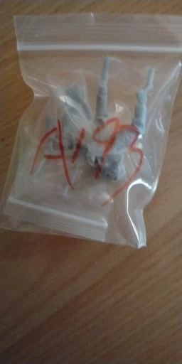Buyer photo of this resin kit