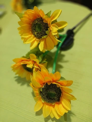 리뷰 사진