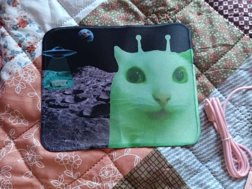 리뷰 사진