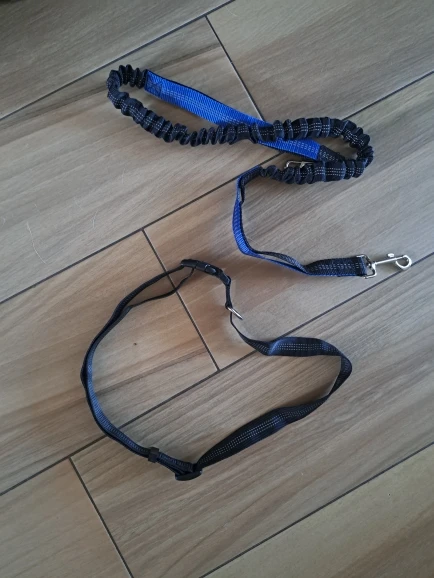 Customer review photo for Hands-Free Bungee Dog Leash with Adjustable Waist Belt