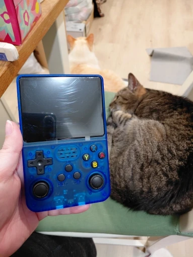 Customer photo
