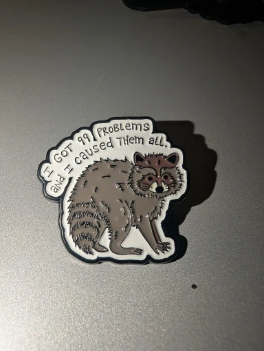 I Got 99 Problems And I Caused Them All Enamel Pin ‌Jay-Z‌ Lyrics Cute Raccoon Animal Brooch Lapel Badge Fashion Jewelry Gift photo review