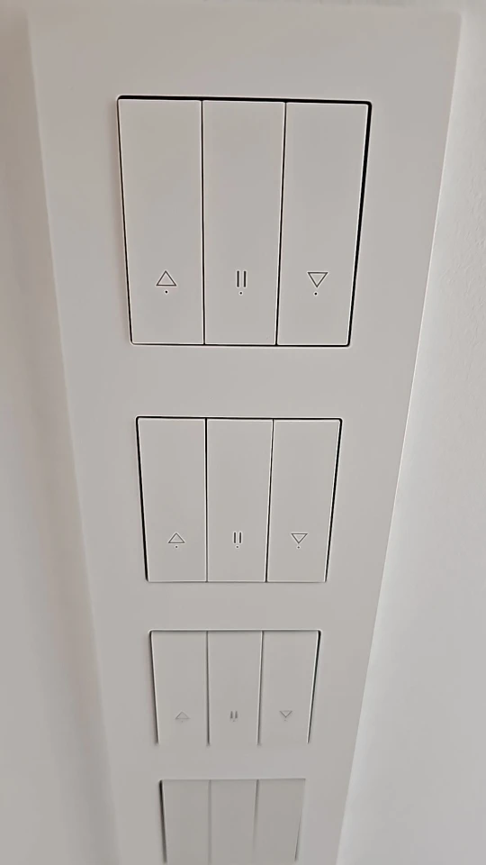 BSEED Zigbee 1/2/3/4Gang Smart Light Curtain Shutter Dimmer Switches Mechanical Buttons EU Sockets USBC DIY Parts Plastic Frames photo review