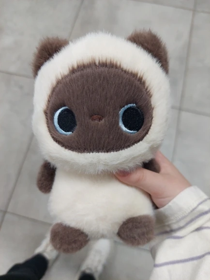 실물 포토 리뷰