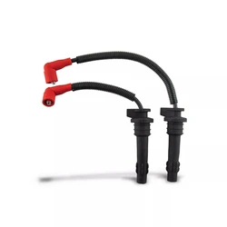 Ignition Coil Spark Plug Caps & Wires (SET) for Polaris RZR XP Turbo 1000 Trail 900 1000 ACE 900 4014295 4014296