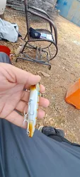 Imagen de reseña 3