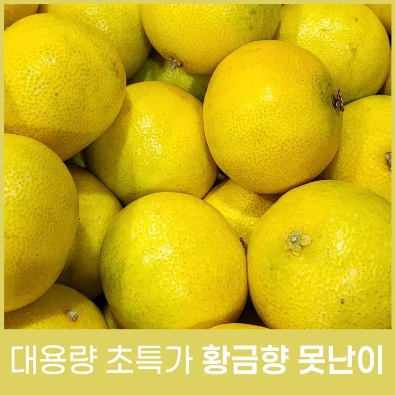 [지장샘농장] 제주 황금향 못난이 5kg 10kg