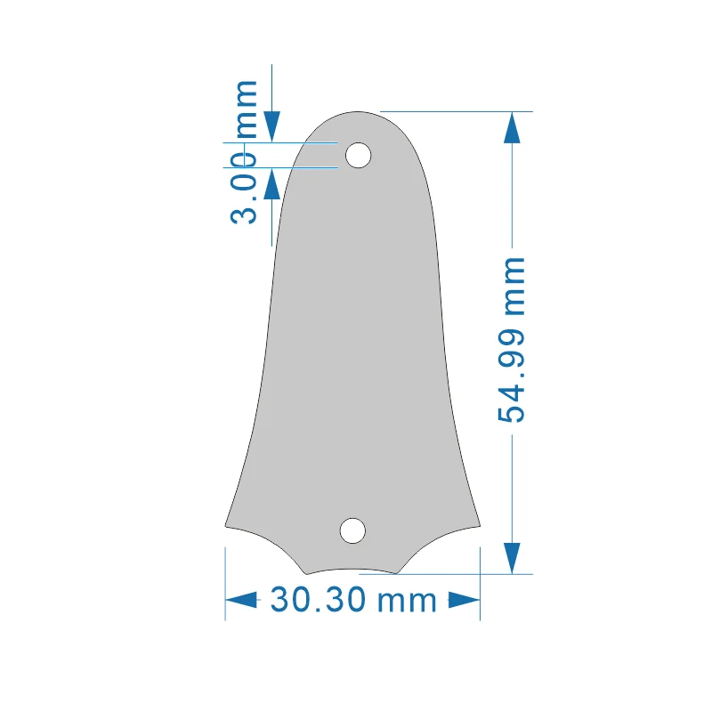2-Hole Standard Model — Engraved Truss Rod Cover — Guitar Nameplate