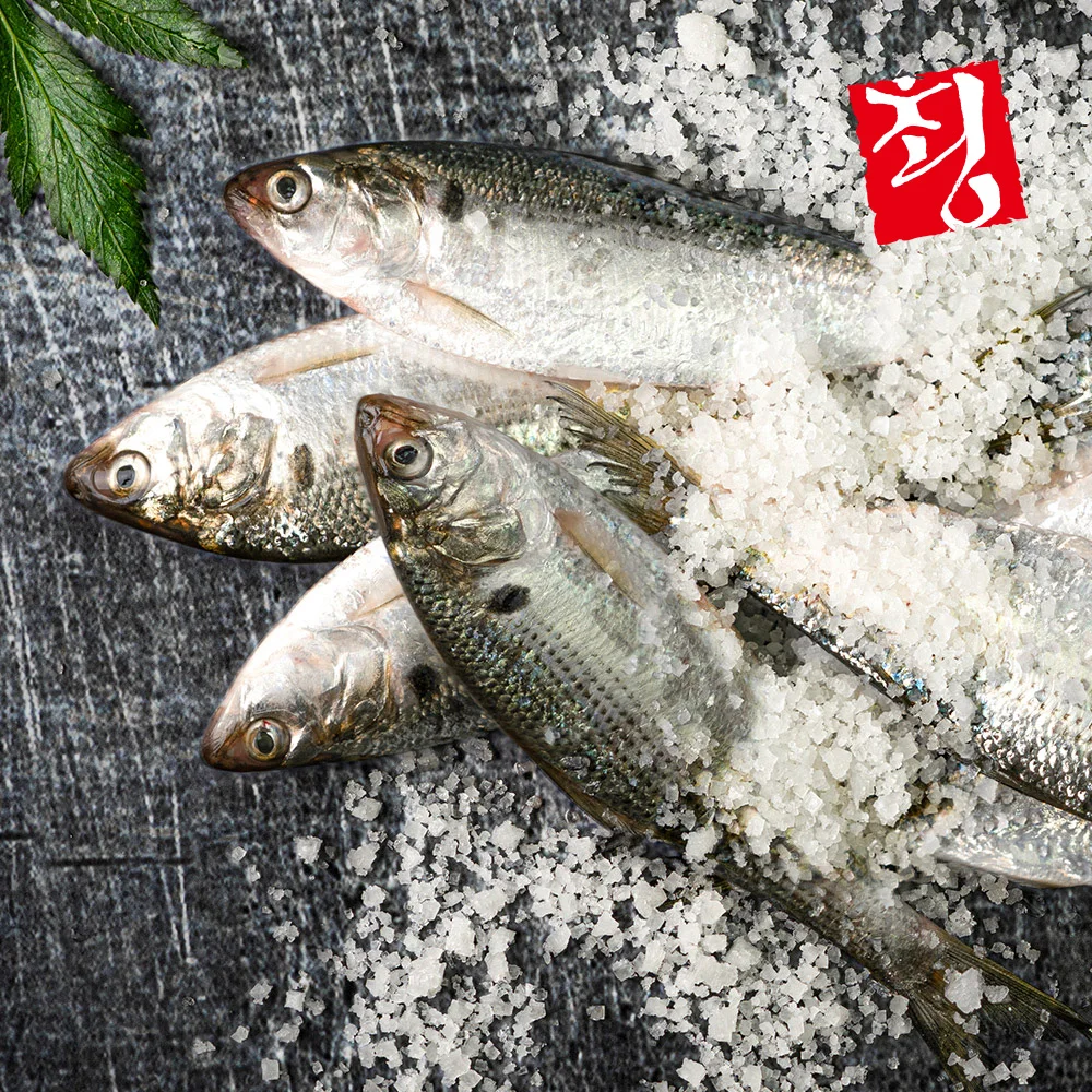 고소한 풍미 남해안 자연산 전어(구이용) 1kg(15미내외)