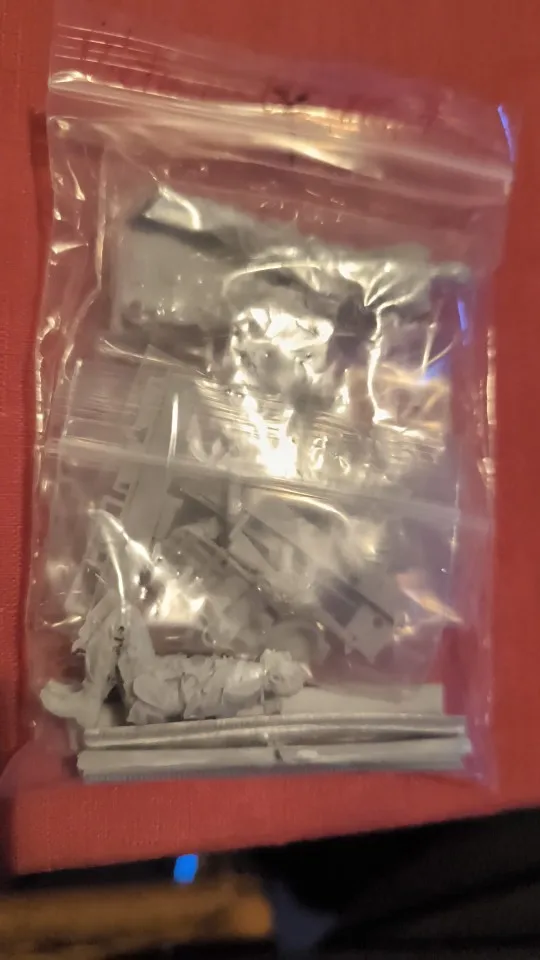 Buyer photo of this resin kit