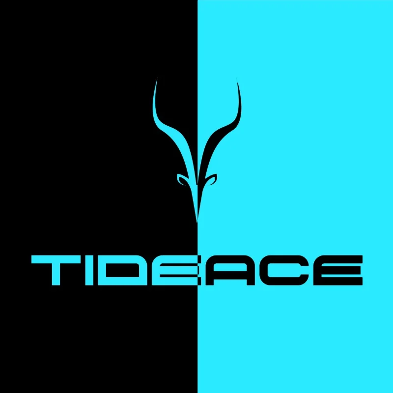 TIDEACE BIKES Custom Painting Personalized Customization Paint Color Choice image 6