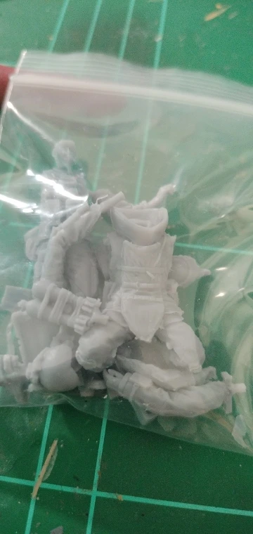 Buyer photo of this resin kit