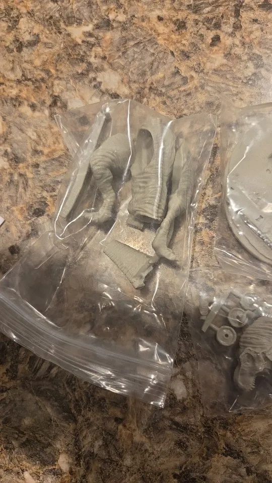 Buyer photo of this resin kit