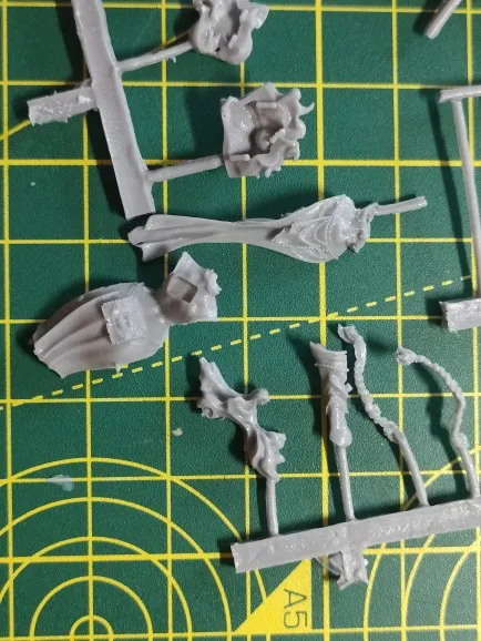 Buyer photo of this resin kit