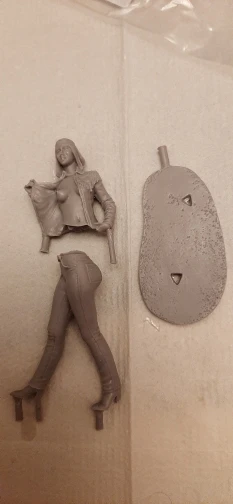 Buyer photo of this resin kit