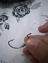 Imagen de reseña 2