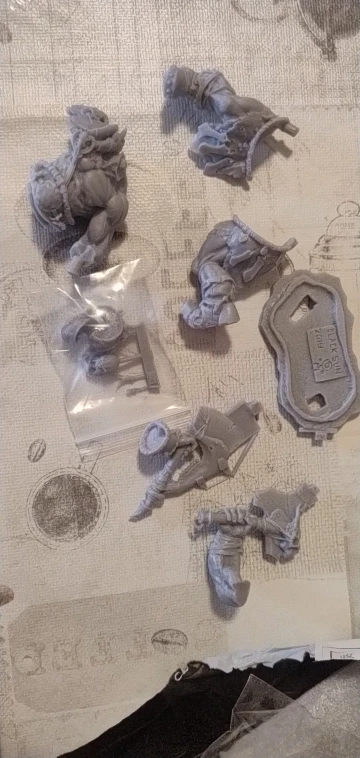 Buyer photo of this resin kit