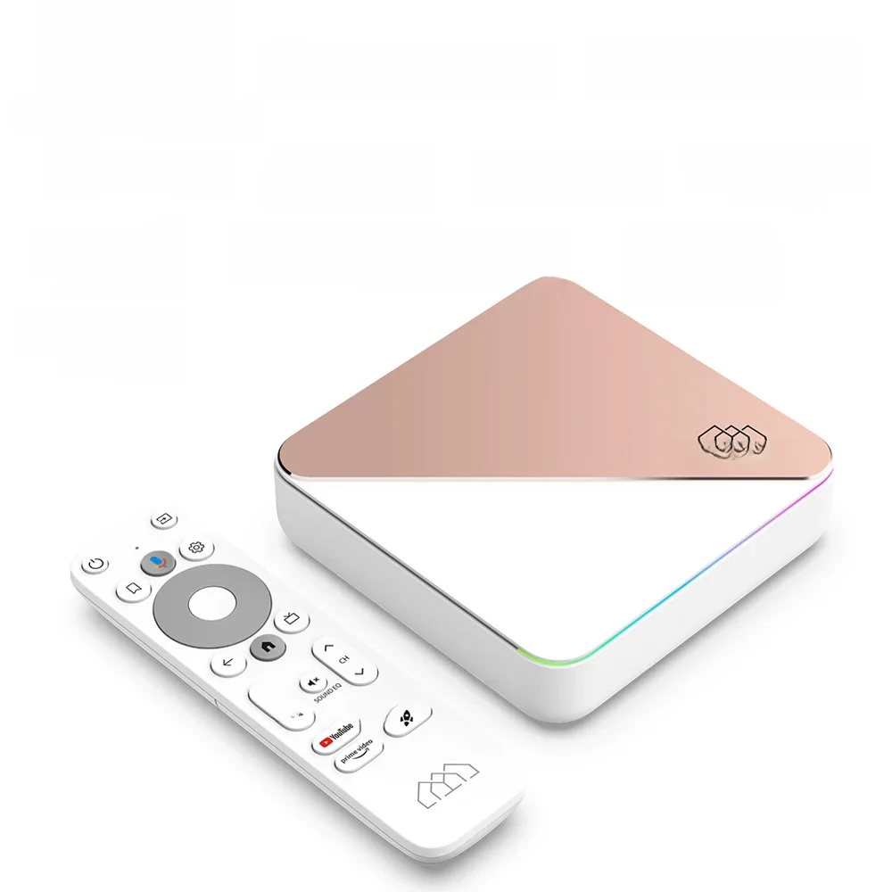 HOMATICS Box R 4K Plus TV Box AndroidTV 14 Netflix certifié Google Amlogic S905X4 4G32G prise en charge DTS Dolby Audio AV1 Wifi6 BT5.0