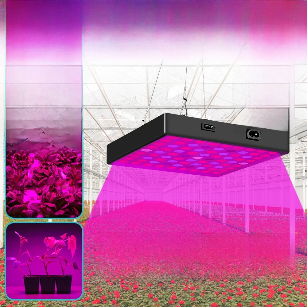 LED Full Spectrum Grow Lights 220V/110V Sunlight UV IR Hydroponic Plant Fill Lamp Greenhouse Tent Vegs Growth Cultivation Lamps