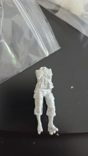 Buyer photo of this resin kit
