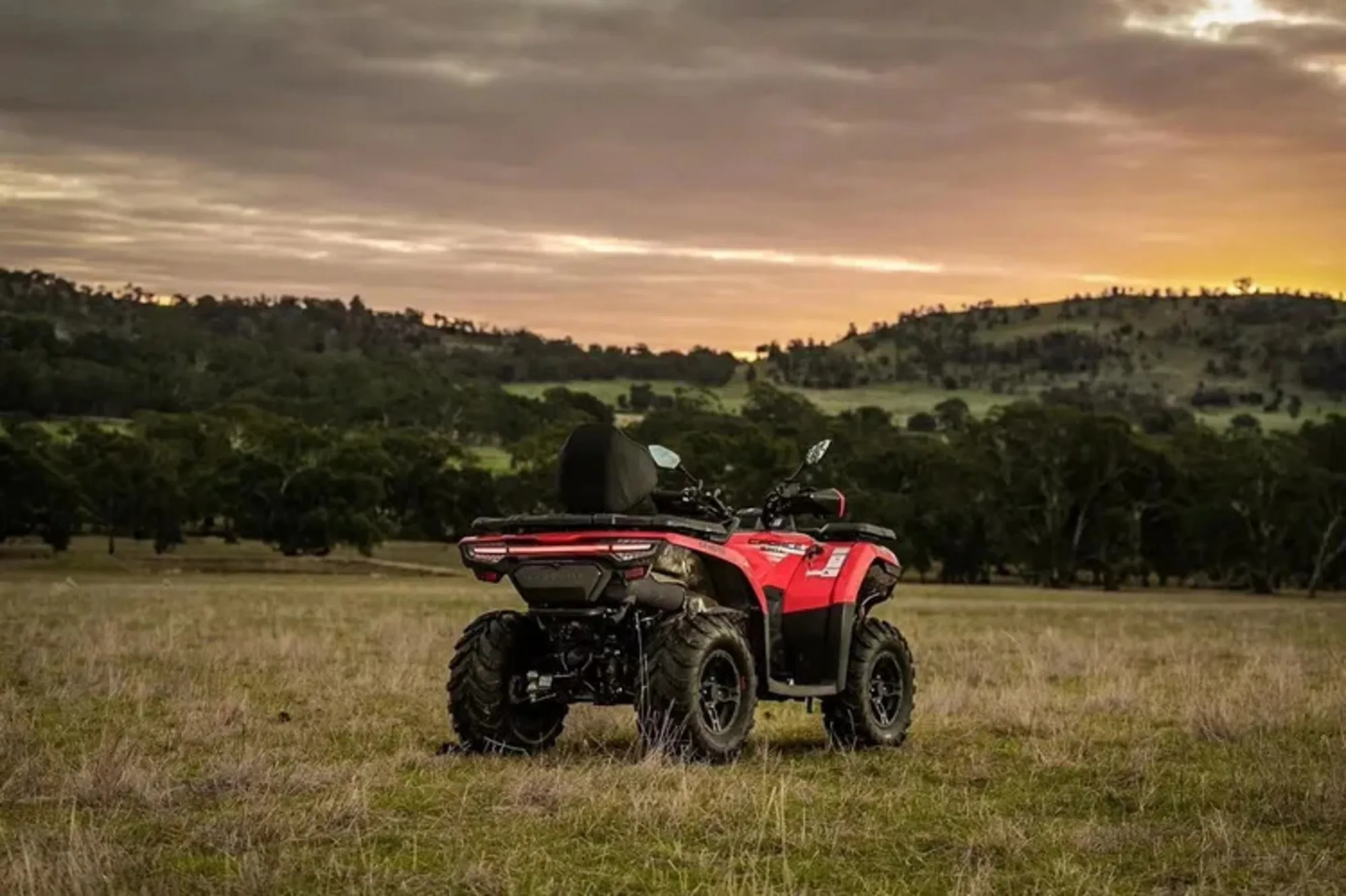 TRULY Quad Adults 400cc/600cc/800cc/1000cc 2WD/4WD Switchable Four-wheel All-terrain Off-road Mountain Vehicle  ATV/UTV