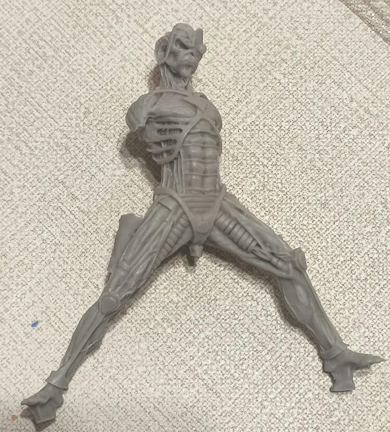 Buyer photo of this resin kit