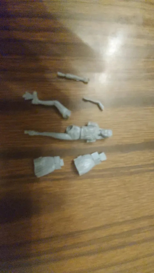 Buyer photo of this resin kit