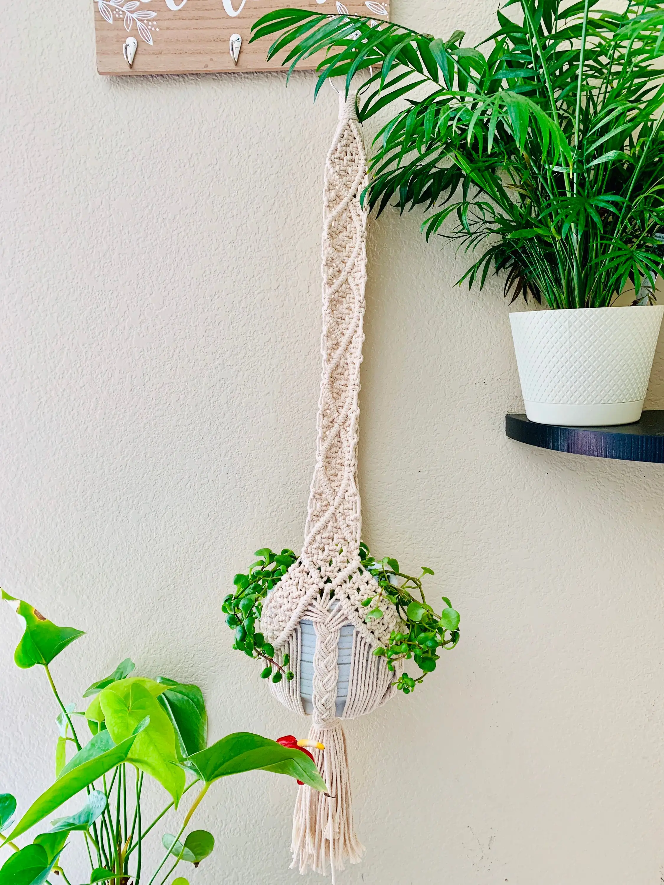 Indoor & Outdoor Macrame Plant Hanger, Patio Décor, Boho, Window and Ceiling Plant Hanger, Display Hanging Flower and Pot Plant