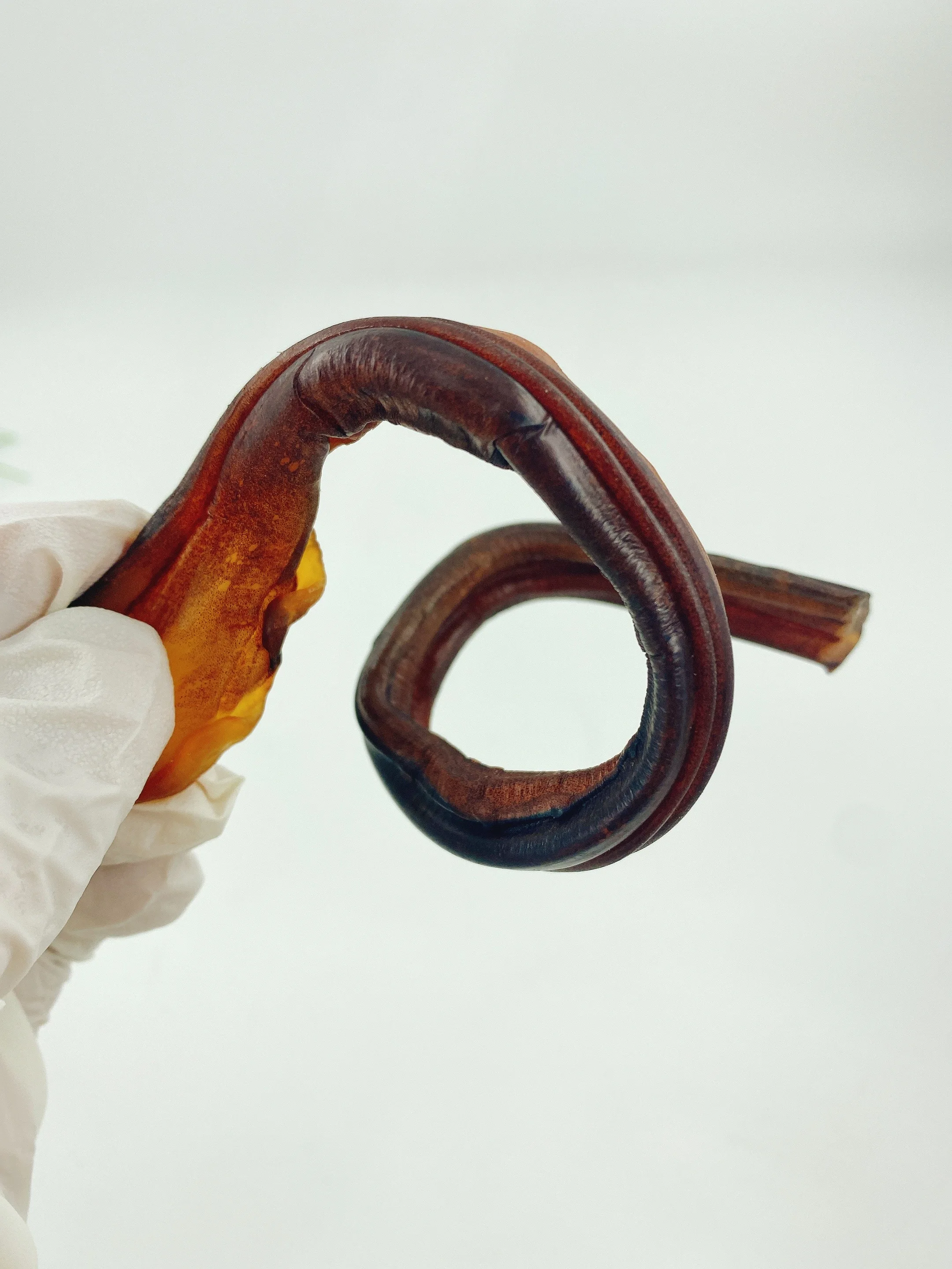 قطع الحصان هجر الفاظ 1 كجم المحلية الرئيسية الملك الحبار الأخطبوط القدم