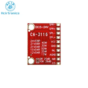 Digital Power Amplifier Plate, Ca-3116, 50W + 50W 100W, DC 5V 12V 24 V, Dual-Kanal, Stereo-Audio-Modul, TDA7492, TPA3116D2 8 Hauptverkaufsverstärker 3116 - №6
