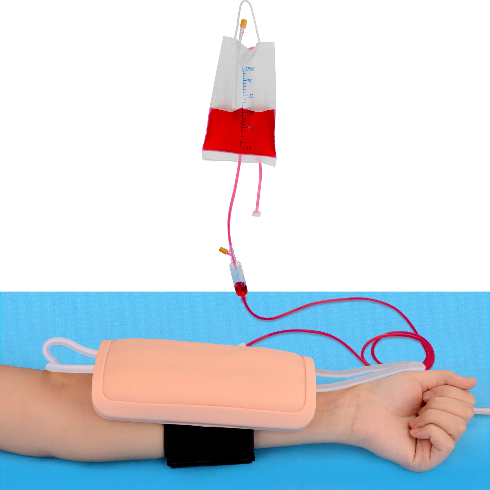 Kit de práctica de modelo anatómico IV, y flebotomy venipuntura, almohadilla de entrenamiento de inyección de simulación IV para estudiantes de