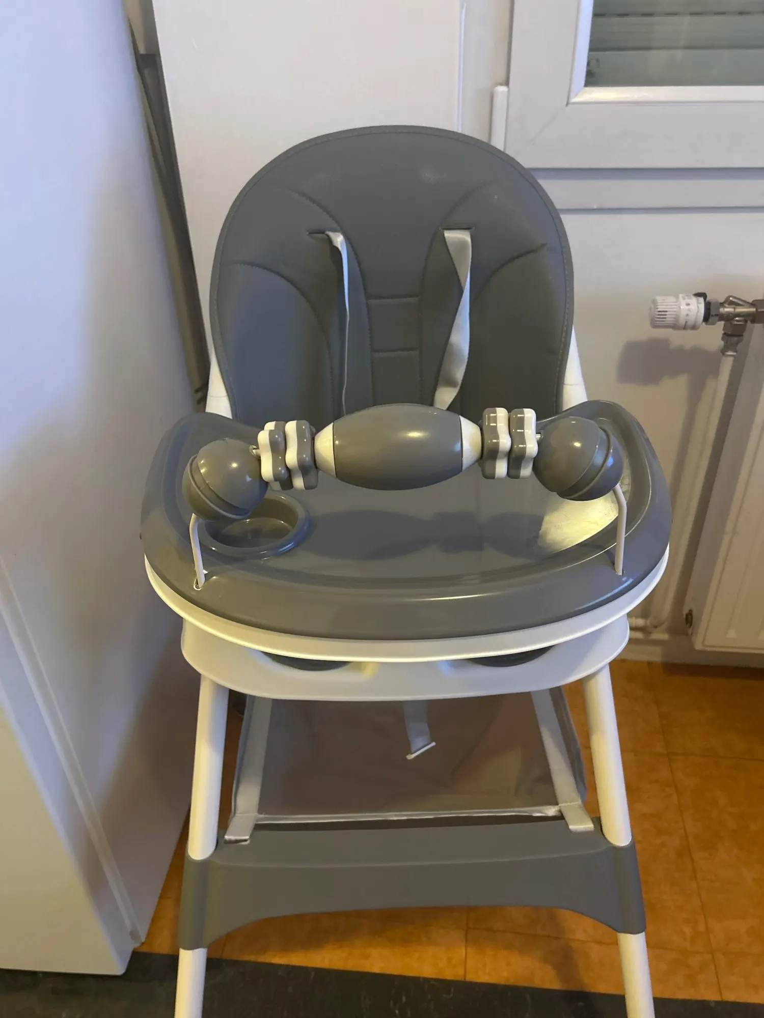 Adoptée par bébé