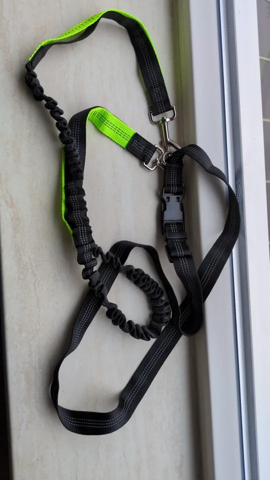 Customer review photo for Hands-Free Bungee Dog Leash with Adjustable Waist Belt