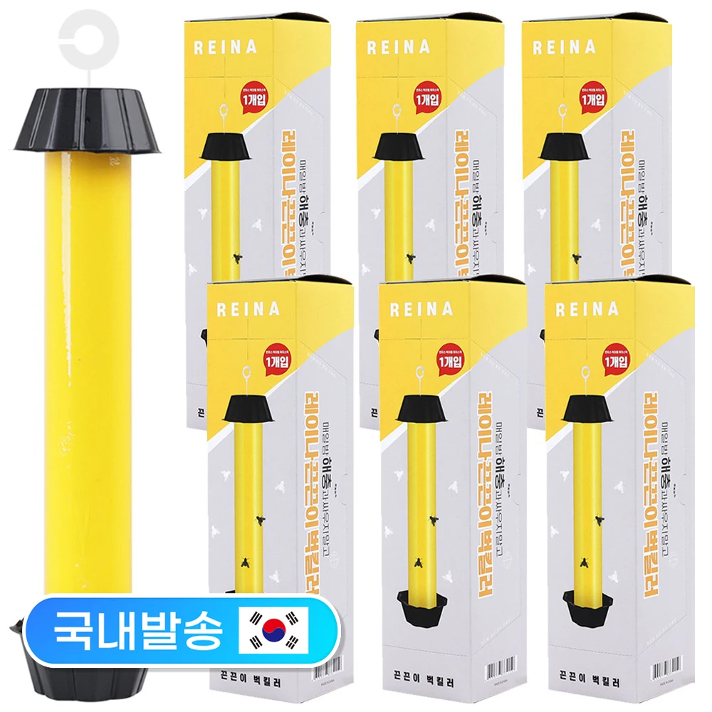초파리트랩1