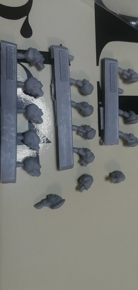 Buyer photo of this resin kit